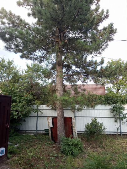 Дом 95 м² на участке 6 сот.