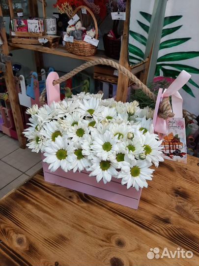 Ящик с цветами, хризантема ромашковая