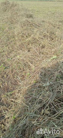 Продам сено в рулонах по 350кг
