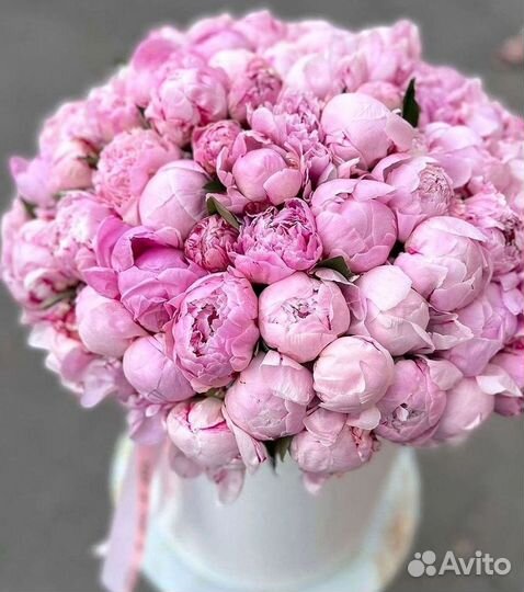 Пионы Букет пионов