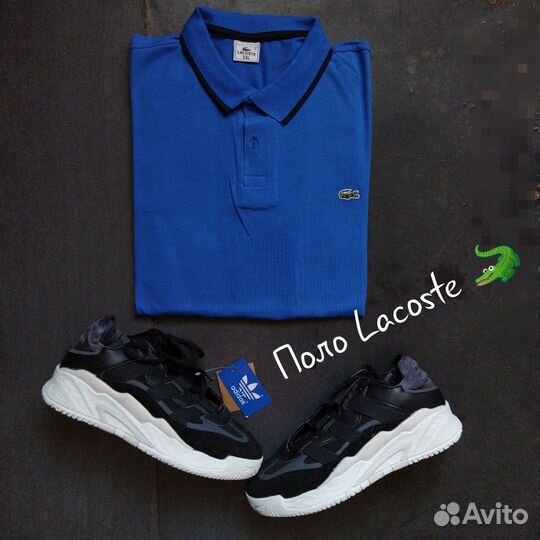 Поло Lacoste