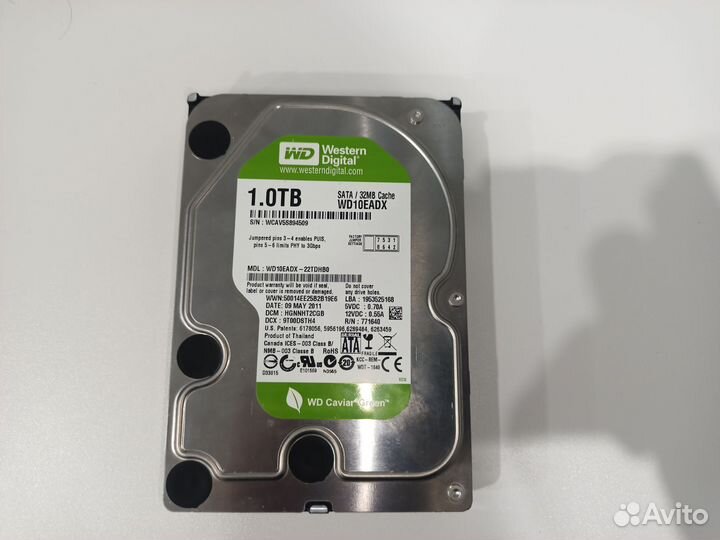 Hdd western digital 1tb