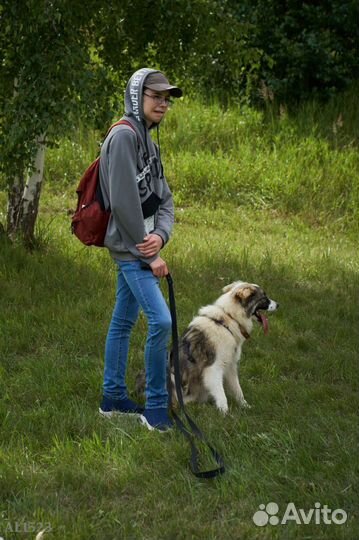 Самая обаятельная ищет дом