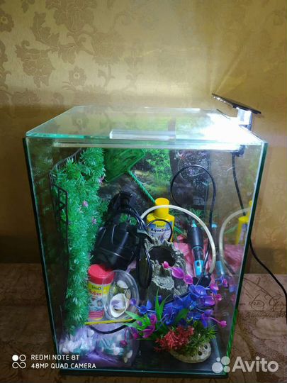Аквариум- террариум сube 20l комплект с рыбками