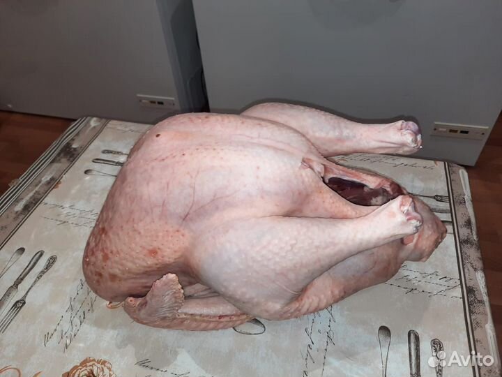 Продам мясо домашней птицы