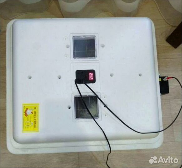 Инкубатор для яиц