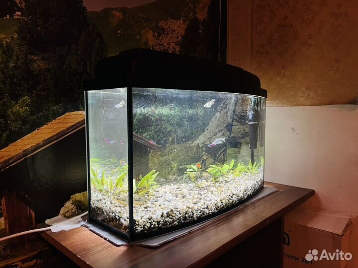 Аквариум 45 литров