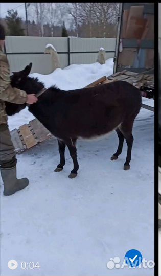 Грузоперевозки Газель, переезды, транспортные услу