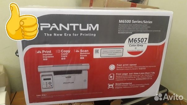 Мфу лазерное Pantum M6507, новое