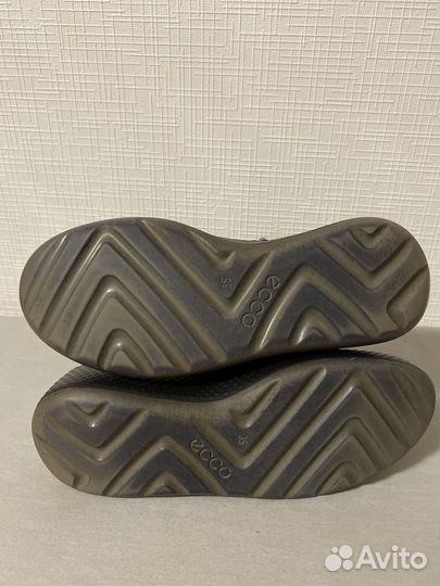 Полусапожки угги Ecco