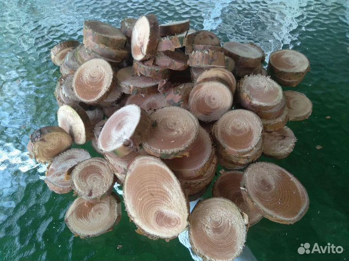 Спилы дерева