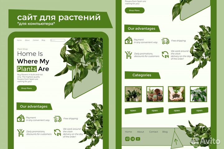 Веб дизайнер