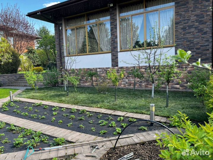 Красивый рулонный газон от профессионалов