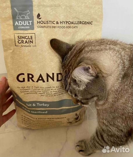 Сухой корм для кошек Grandorf 2 кг кролик-индейка