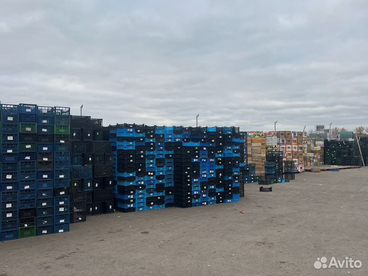 Пластмассовый Ящик