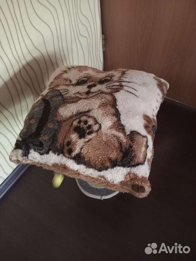 Когтеточка