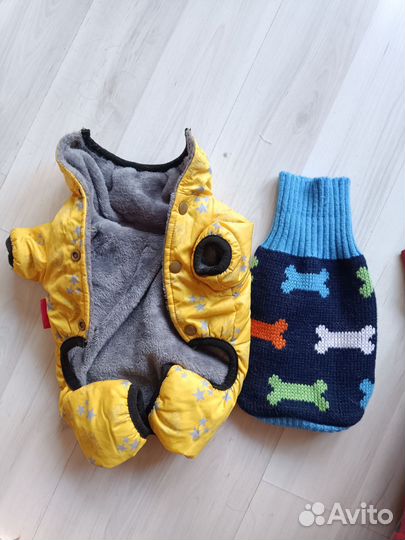 Одежда для маленьких собак