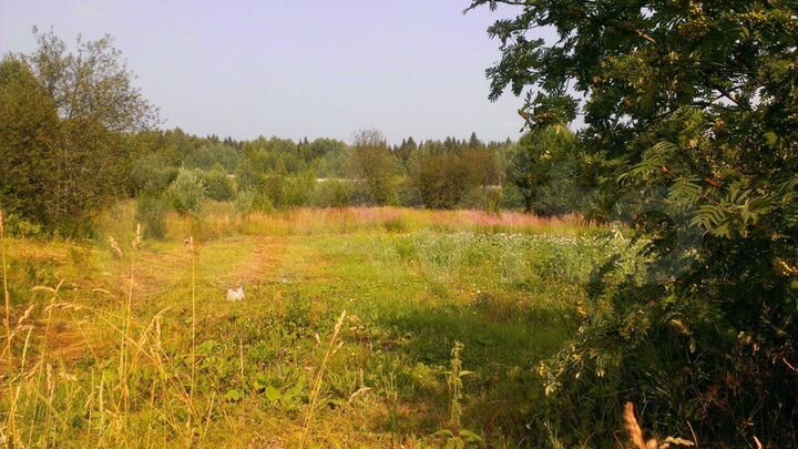 Участок 27 сот. (ИЖС)