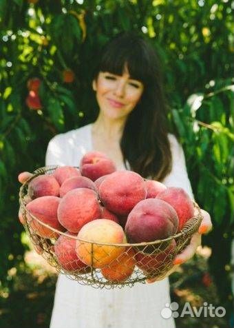 Персик Гранд Феррад