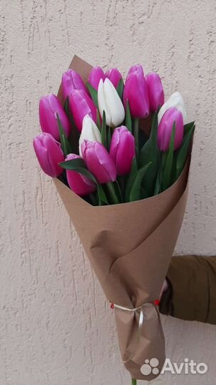 Луквицы тюльпана