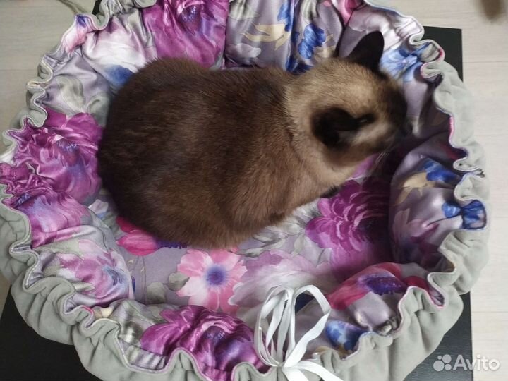 Лежанка для животных