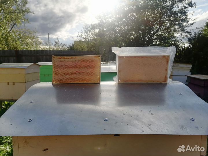 Сотовый мёд