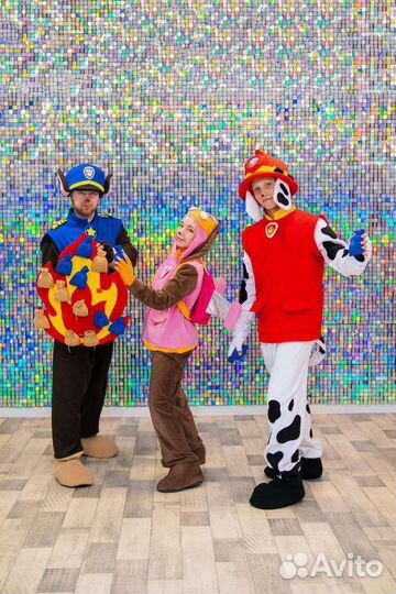 Аниматор, ведущий, шоу программы