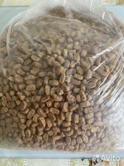 Корм для кошек