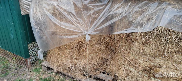 Сено люцерны в тюках