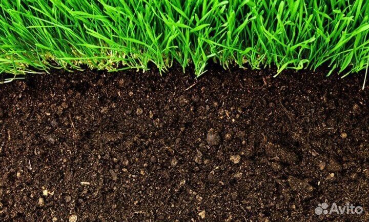 Чернозем плодотворный