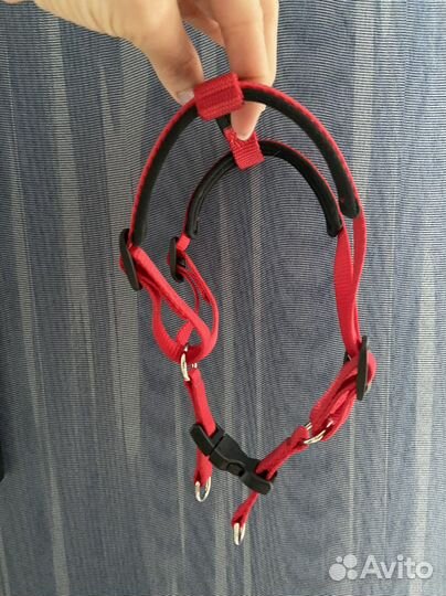 Шлейка и поводок для собак мелких и средних пород