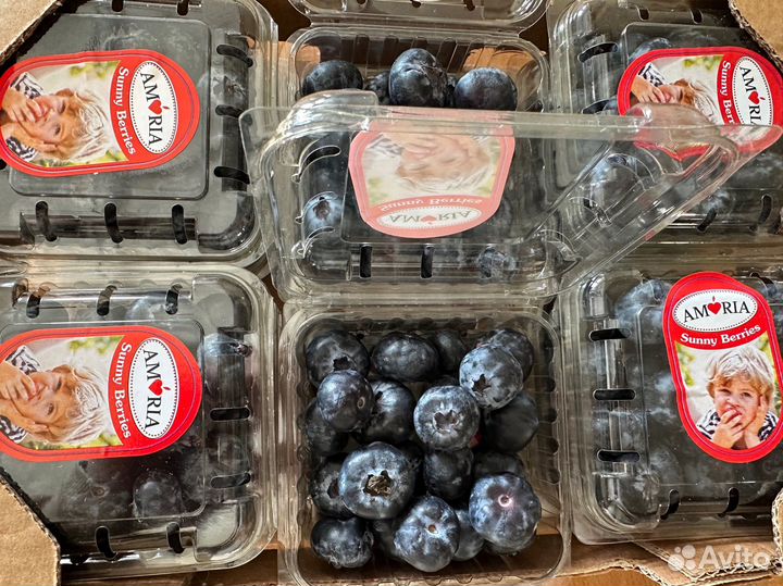 Ягоды: клубника,малина,голубика,ежевика