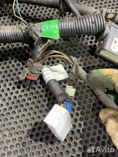 Проводка двигателя 491QE Great Wall Deer Safe