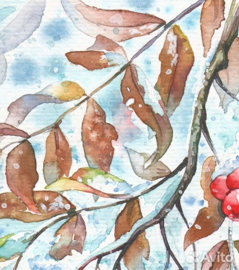 Рябина акварель