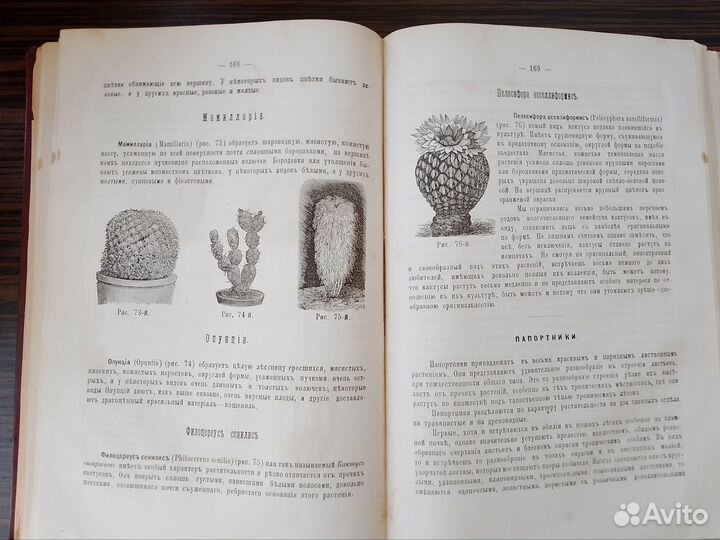 Комнатное садоводство. Книга с гравюрами. 1886 г