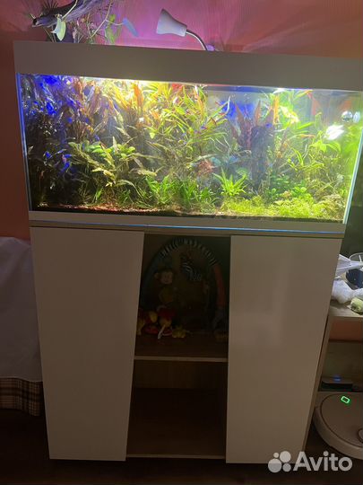 Аквариум с рыбками бу