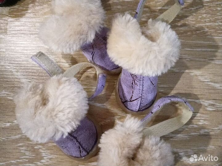 Обувь для маленьких собак