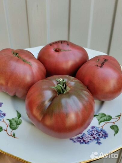 Томат Углерод и др