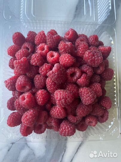 Малина свежая