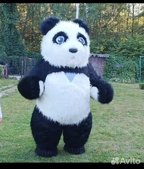 Панда аэрокуклы и ростовые.Поздравления Тула