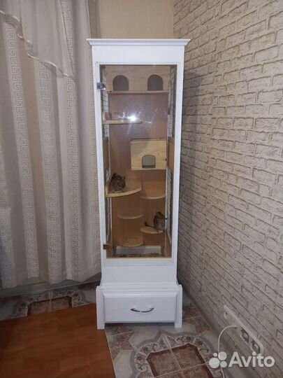 Витрина для грызунов