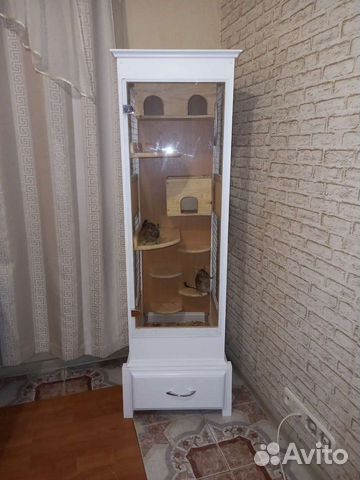 Витрина для грызунов