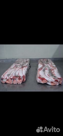 Горбуша пбг