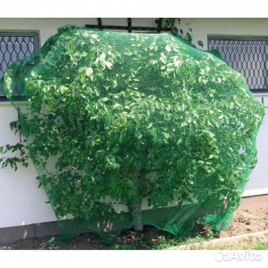 Сетка-теневка