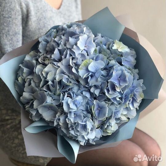 Букет из гортензии 11 21 31 41 51 101