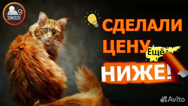 Ноутбук HP EliteBook для офиса, бизнеса, учебы