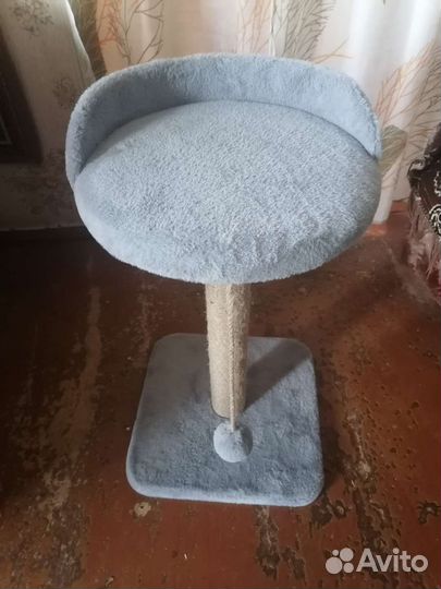 Когтеточка