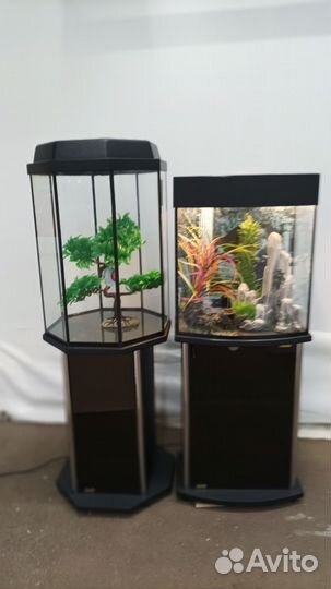 Аквариумы и всё для них