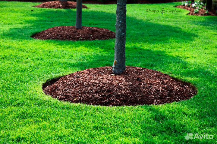 Кора сосны, мульча