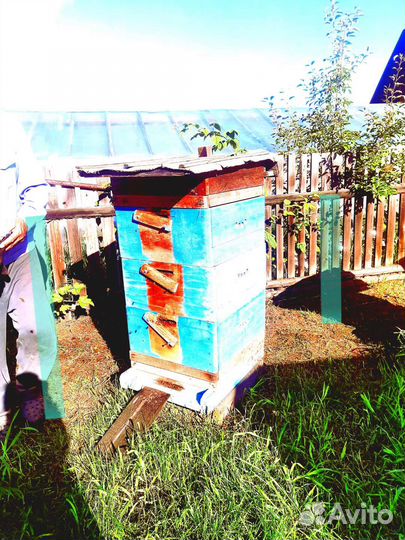 Улей для пчёл